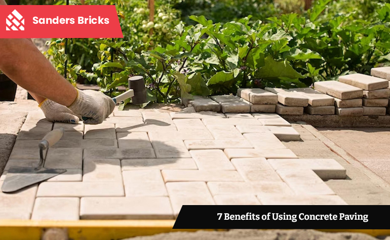 Newly paved concrete driveway showcasing durability and aesthetic appeal